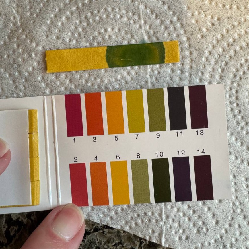 A colored pH strip beside its printed reference scale