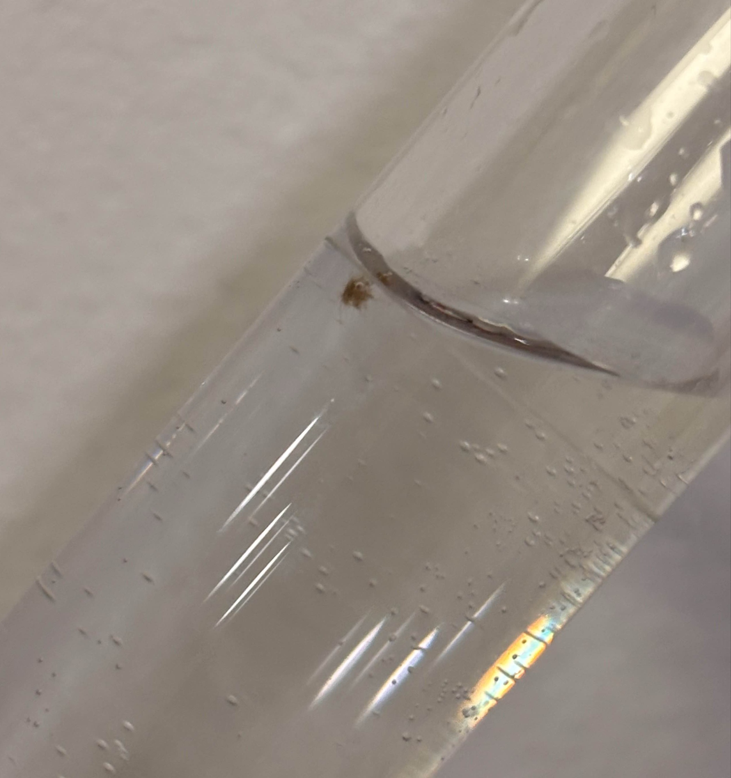 Close view of a dark feature near the liquid boundary in a tilted vial